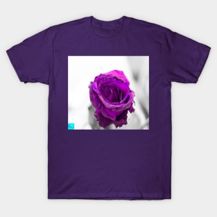 purple rose T-Shirt